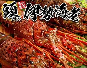 新物 伊勢海老ヘッド　5kg　業務用　送料無料