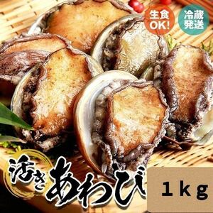 活き蝦夷あわび　50/60 1kg 約18枚　送料無料!!