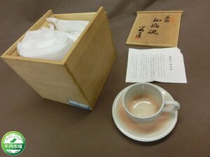 【HR-6762】未使用 天鵬山 珈琲碗 カップ ソーサー 2客 セット ペア コーヒー 陶芸 伝統工芸 陶器 木箱付【千円市場】