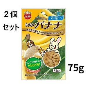 ２個セット　マルカン　もぎたてバナナ　７５ｇ　うさぎ　おやつ　果物 うさぎ ハムスター モルモット リス 小動物