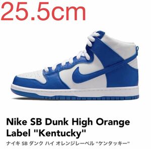 SB DUNK HIGH PRO ISO "KENTUCKY" DH7149-400 （バーシティロイヤル/バーシティロイヤル/ホワイト）