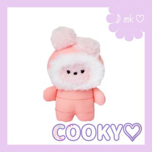 BT21 mini mininiダウンぬいぐるみ COOKY ホリデー