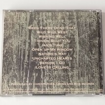 【帯付 国内盤CD】CHRISTOPHER CROSS/WINDOW(PSCW-5050)クリストファー・クロス/ウインドウ/ライナーノーツ 東野純直/1994年アルバム AOR_画像3