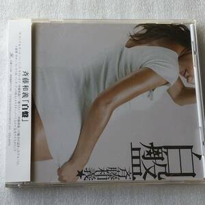 中古CD 斉藤和義/白盤 (2005年)