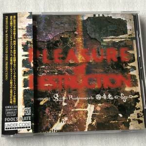 中古CD V.A/PLEASURE of DESTRUCTION (2006年)
