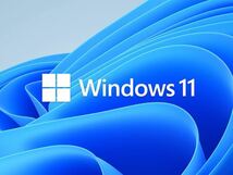 【最新】Microsoft Windows 11 Pro 64bit DSP版 DVD 日本語 1台分☆新品破格☆_画像1