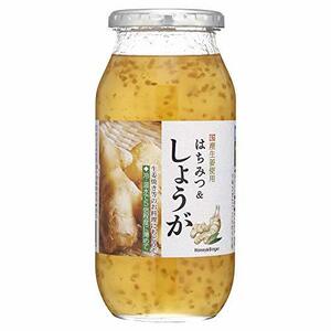 加藤美蜂園 本舗 はちみつ&しょうが 810g 1 本