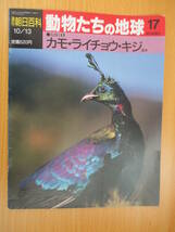 IZ0926 週間朝日百科 動物たちの地球 1991年10月23日発行 カモ ライチョウ キジ コハクチョウ カモは水辺 キジは地上 ホウカンチョウ _画像1