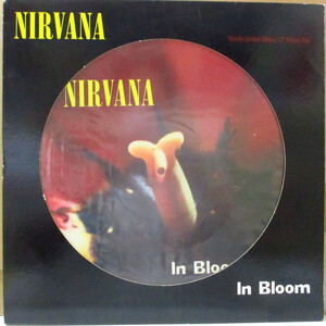 NIRVANA-In Bloom +2 (UK 限定ピクチャー 12/片面ダイカット光沢ジャケ)
