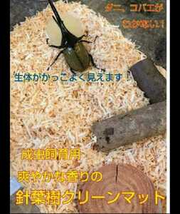 成虫管理はコレが一番良いです！針葉樹クリーンマット☆爽やかな香りでケース内が明るくなり生体が目立つ！防ダニ、消臭効果も！10リットル