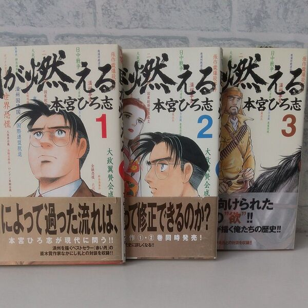 国が燃える 1巻～3巻 著者 本宮ひろ志