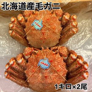 特大！北海道産毛ガニ1キロ×2