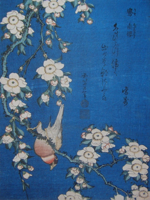 Katsushika Hokusai, [Uguisu et fleurs de cerisier pleureurs], Extrait d'un livre d'art rare, En bonne condition, Tout neuf avec un cadre de haute qualité, livraison gratuite, Peinture japonaise fleur de cerisier, Yoni, Peinture, Peinture à l'huile, Nature, Peinture de paysage