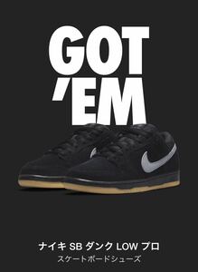 NIKE SB DUNK LOW PRO ナイキ エスビー ダンク ロウ プロ 24.5cm BQ6817-010 ナイキ SB ダンク LOW プロ Black 24.5cm ダンクブラック