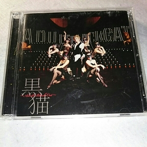 【10点以上の落札で2割引！】(T-10)Acid Black Cherry/黒猫～Adult Black Cat～/CD+DVD