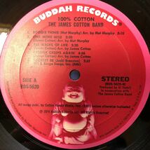 ジェームス・コットン The James Cotton Band 100%COTTON LP レコード 5点以上落札で送料無料V_画像3