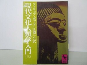 現代文化人類学入門 3 (講談社学術文庫 104) li0511-id1-nn246988