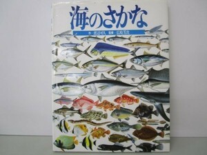 海のさかな (絵本図鑑シリーズ) li0511-id4-nn247819