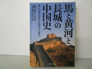 「馬と黄河と長城」の中国史―興亡の歴史を新たな視点から探る (PHP文庫) li0511-id6-ba248290