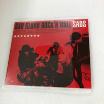 Ｄ8-7】SAD BLOOD ROCK N ROLL SADS【ジャンク品】CDのみ発売_画像1