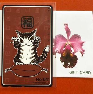 【未使用】わちふぃーるど ダヤン 猫 wachifield テレホンカード テレカ No.67 ねこ Dayan's Club Card 池田あきこ べべ 非売品 防災 NTT