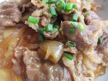 ジョイグルメ「牛丼の素DX-10食」USA牛使用/日東ベスト_画像9