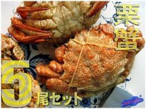 箱売り「栗蟹B級品、20尾位で4kg」ボイル済み調理不用-濃厚な味わいは毛蟹以上です。_画像6