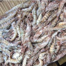 大量!!「ガラ海老5kg」お刺身用。船上冷凍- IQF- 境港自慢の逸品_画像8