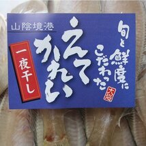 はんなま製品「一夜干し、カレイ 10尾」山陰境港産_画像9