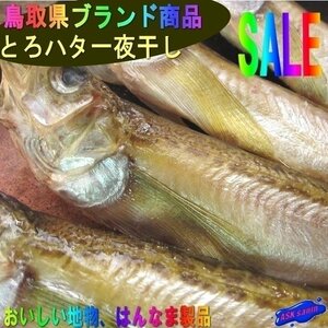 鳥取県ブランド商品「とろはた一夜干し20尾」深海の珍味、脂の乗りNo1