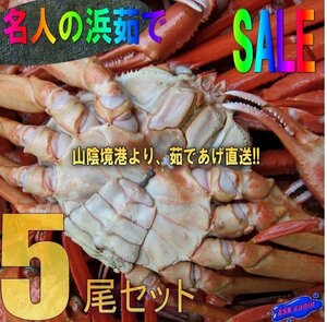 3箱、釜揚げ直送!! 名人の『浜茹で蟹LL-5尾セット』...とれたて、境港直送 「紅蟹400-500(5)」