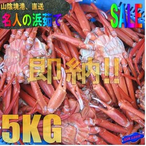 ★即納★名人の【浜茹で蟹AA-5kg】境港直送!! -15尾位で5kg位-.「冷凍紅蟹5kg」