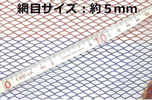 ②35cm TTRオリジナル レインボータモ網/TEAM釣男RAINBOW_画像3