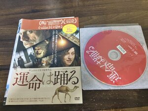 運命は踊る　DVD　 リオール・アシュケナージー　即決　送料200円　1119