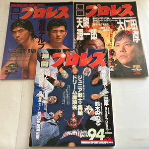 ◇送料無料◇ 爆闘 プロレス 1994年 3冊 船木誠勝 大仁田厚 天龍源一郎 鈴木みのる 武藤敬司 ♪GE1004