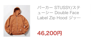 STUSSY/ステューシー　DoubleFaceLabeiZipHood Lサイズ