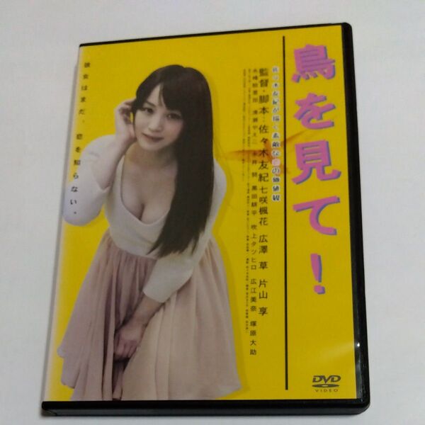 鳥を見て! 　佐々木友紀監督七咲楓花主演 DVD レンタル落ち 商品