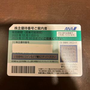 ANA株主優待券 1枚50% 2023年11月30日搭乗まで有効　通知にも対応します④