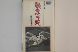 VHS Movie 執念の蛇 HTH1608 大映 レンタル落ち /00300