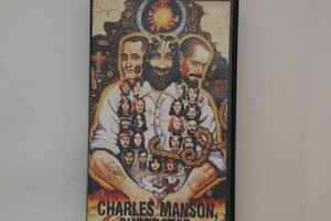  import VHS Movie Charles Manson, Superstar. MJ014 WEREWOLF /00300
