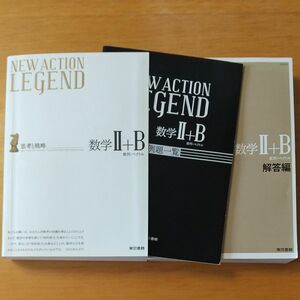  NEW ACTION LEGEND数学2+B 思考と戦略 数列ベクトル