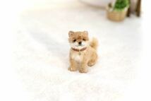 ＊maru＊羊毛フェルト　小さな柴犬　ハンドメイド　ブライス　人形　ドールハウス_画像10