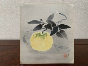 【色紙画/色紙書】巧芸画　　徳岡神泉　『蜜柑』　詩/短歌/俳句/情景画　パケット発送　K0405Ｃ12　