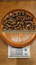 大粒　100粒程度で100g