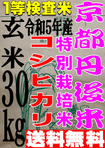 【送料無料 一等検査米 特別栽培米】新米 令和5年度産 京都 丹後 コシヒカリ 玄米30kg