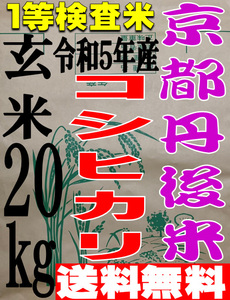 【送料無料 一等検査米】 新米 令和5年度産 京都 丹後 コシヒカリ 玄米 20kg