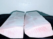 養殖ミナミ鮪大トロサク 560g