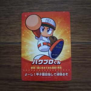 「amiiboカード 実況パワフルプロ野球 パワプロくん」