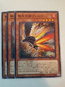 遊戯王 転生炎獣ファルコ 三枚 数量5