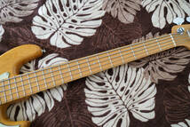 Inner Wood Gig J5 中古_画像3